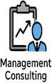 Management-Consulting-Icon