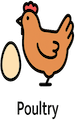 Poultry-Icon